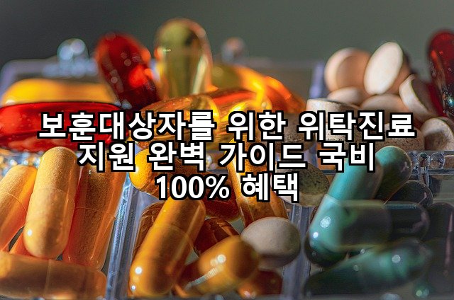 보훈대상자를 위한 위탁진료 지원 완벽 가이드 국비 100% 혜택